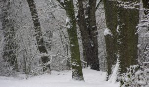 Hintergrundbild - Winterliches Schneetreiben