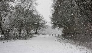 Hintergrundbild - Verschneiter Weg 1