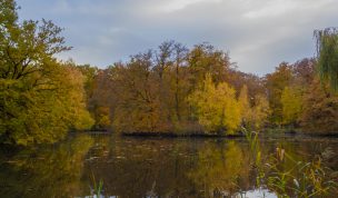 Hintergrundbild - Bunte Herbstfarben