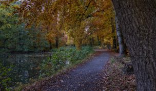 Hintergrundbild - Herbst am Mühlenbach