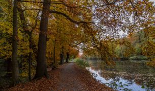 Hintergrundbild - Herbst im Schlosspark