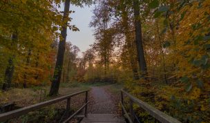 Hintergrundbild - Kleine Brücke im Schlosspark
