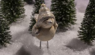 Hintergrundbild - Weihnachten Kleiner Vogel
