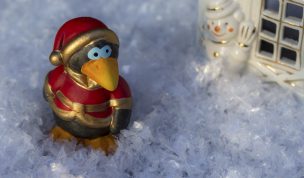 Hintergrundbild - Weihnachten Vogel im Abendlicht