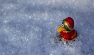 Hintergrundbild - Weihnachten Kleiner Vogel auf Wanderung