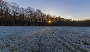 Hintergrundbilder - Sonnenuntergang Möllers Bruch