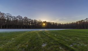 Hintergrundbilder - Sonnenuntergang im Winter