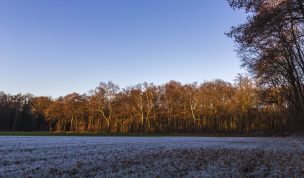 Hintergrundbilder - Winterlandschaft in Gladbeck