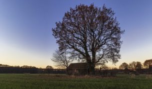 Hintergrundbilder - Ruhrpottromantik im Winter