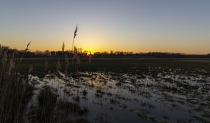 Hintergrundbilder - Sonnenuntergang Hervester Bruch