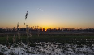 Hintergrundbilder - Sonnenuntergang über Feuchtwiesen