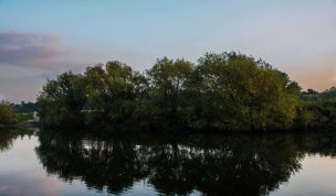 Hintergrundbild Baumgruppe an der Lippe